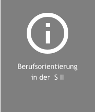 Berufsorientierung in der  S II